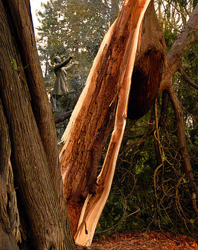 Lord Stanley statue - windstorm in Stanley Park 07